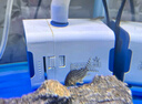 森森（SUNSUN）鱼缸水泵小型潜水泵水循环水族箱过滤泵抽水泵 【升级可底吸】23W流量可调 带水管 实拍图