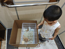 富春 千层油糕300g*2 12只装 早餐包子 甜馒头扬州包子 速冻蒸包糕点 实拍图