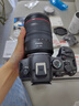佳能r6二代相机  mark2 打鸟摄影器材全画幅微单vlog相机 机身4K拍摄套机相机 下单抽拉布布&金豆 R6二代+RF24-105 USM套【全新未拆封】 套餐一【佳能相机专用视频录制卡/摄影三 实拍图