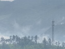 派乐特太阳能喷泉自动鱼池户外庭院假山循环水泵增氧小型家用水缸喷水器 18CM蓄电款 实拍图