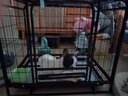 憨憨宠狗笼方管加粗狗笼子大中小型犬狗狗笼子泰迪幼犬宠物笼具用品鸡笼 78*57*73cm【适用30斤内狗狗】 【升级材质】加粗网丝加厚管壁 实拍图