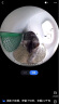 小佩智能猫砂盆可视全自动猫厕所MAX PRO 电动铲屎一键换砂开放式隔臭 实拍图