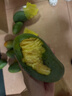三亚芒果  海南芒果新鲜水果生鲜整箱当季大青皮芒 热带孕妇芒果 10斤装(净果8.5-9斤)单果250g+ 实拍图