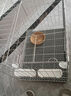鸽子笼家用养殖笼鸽子配对笼超大号繁殖笼折叠配对笼带隔断繁殖笼 35*25*30cm带托盘（送饮水器） 晒单实拍图