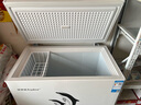 荣事达（Royalstar）小冰柜家用小型冷冻保鲜迷你冷藏商用卧式冷柜单用储母乳柜节能省电 【一级节能 全国联保】单温 228L 实拍图