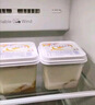 伊利经典凝酪酸奶 低温老酸奶家庭装原味 800g 风味发酵乳 实拍图
