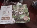 华西新希望洪雅牧场全脂纯牛奶整箱200ml*10盒 礼盒装（3.5g乳蛋白） 实拍图