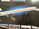 乐高（LEGO）积木10318 协和式飞机 旗舰限定款 生日礼物 实拍图