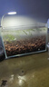 森森（SUNSUN） 鱼缸水族箱生态超白玻璃缸桌面水草缸客厅造景金鱼缸 【入门超白】300*170*200mm 实拍图