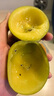 佳沛（zespri）新西兰  阳光金奇异果10粒礼盒巨大果单果约144-175g 水果 猕猴桃 实拍图