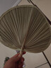 收米蒲扇大芭蕉扇济公扇老人老式手工蒲草扇芭蕉扇舞蹈扇棕叶烧烤扇子 大号-3把【一家三口】 实拍图