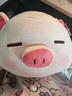 名创优品（MINISO）小猪B-BO弹力超柔趴姿毛绒公仔玩偶抱枕玩具娃娃女友生日礼物女 实拍图