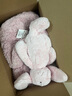 Jellycat害羞粉色邦尼兔动物毛绒玩偶安抚公仔娃娃生日婚礼礼物 粉红色 H31 X W12 CM 实拍图