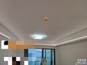 佛山照明（FSL）LED灯带低压灯带专用铝材驱动电源24V 300W 实拍图