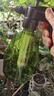 安赛瑞 喷壶浇花水壶喷雾器喷水壶气压式洒水喷壶 墨绿 1.5L 5J00421 实拍图