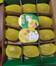 佳沛（zespri）新西兰 阳光金奇异果12粒礼盒特大果单果约122-146g 猕猴桃 水果 实拍图