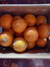 新奇士（Sunkist） 澳洲黑标晚熟脐橙 8斤礼盒装  单果220g起 新鲜水果礼盒 实拍图