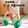 HELLOJOY狗狗玩具耐咬球自动逗狗神器自嗨解闷宠物电动小狗智能弹力遛狗球 实拍图