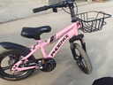 凤凰（Phoenix）儿童自行车男女宝宝脚踏车3-8-12岁儿童山地车14-18-22寸小孩单车 极氪一体轮+ 迷人粉 14寸适合身高（95-120cm） 实拍图