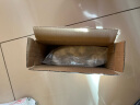 憨憨乐园鱼缸过滤材料水族箱过滤器棉滤盒陶瓷环火山麦饭石十二合一500g 实拍图