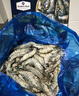Member's Mark 泰国进口 生冷冻黑虎虾 2kg (约31-40只/每千克) 2kg(净重) 实拍图