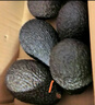 京鲜生秘鲁进口即食牛油果巨无霸4粒装 单果180g+ 生鲜水果源头直发包邮 实拍图