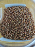 福茗源茶叶养生茶 黑苦荞茶500g 大凉山全胚芽全颗粒荞麦茶苦荞茶袋装 实拍图