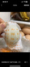 光阳 咸鸭蛋70g*6枚 熟海鸭蛋Sam山姆超市源头工厂即食流油咸蛋黄 实拍图