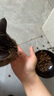 愛肯拿（ACANA）猫粮 牧场盛宴成猫幼猫粮 高蛋白无谷进口鸡肉粮1.8kg效期26/4 实拍图