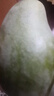三亚芒果  海南芒果新鲜水果生鲜整箱当季大青皮芒 热带孕妇芒果 5斤装（净重4.5斤） 单果200克+ 实拍图
