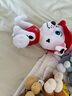 汪汪队立大功（PAW PATROL）毛绒玩具狗狗陪睡玩偶经典款毛毛中号坐姿可爱公仔男女孩生日礼物 实拍图