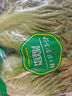 【高原夏菜】钟灵山罗马生菜400g 实拍图