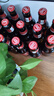 超级波克（SUPER BOCK）经典黄啤酒 进口啤酒  250ml*24瓶 送礼整箱装 葡萄牙原装 实拍图