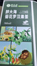 草木方胖大海金银花罗汉果甘草菊花茶210g吸烟者清润凉喉教师养生茶 实拍图