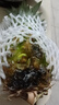 广东徐闻香水菠萝新鲜水果生鲜热带孕妇水果整箱包邮 2个装 净重3-3.5斤 单果650g起 实拍图