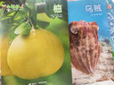 7-8月现货 小聪仔自然科普版杂志全年订阅送好礼 2~8岁幼儿益智科普 儿童智力开发增长知识 自然动物科普 半年/全年订阅2024年/2025年1月-6月/7月-12月任选杂志铺非过期刊 【下半年订阅 实拍图