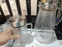 富光双层玻璃杯支持团购定制泡茶杯办公杯带把 大容量男女水杯子580ML 实拍图