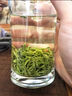 正宗胖东来超市茶叶 (特级头采毛尖)茶叶绿茶新茶明前头采特级 特级头采毛尖一罐装250克 实拍图