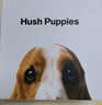 暇步士（Hush Puppies）【礼盒装】皮带男士头层牛皮针扣腰带新款裤腰带送男友礼物送老公 人气棕HD-1871940W-502 120cm 实拍图