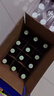 青岛啤酒（TsingTao）奥古特A3 全麦精酿啤酒 480ml*12瓶 实拍图