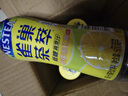 Nestle 雀巢茶萃柠檬冻红茶果汁 茶饮料500ml*15瓶 整箱装 实拍图