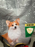 冠能狗粮体重控制绝育犬成犬狗粮全价7kg 高蛋白低脂肪健康减轻体重 实拍图