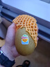 佳沛（zespri）新西兰  阳光金奇异果10粒礼盒巨大果单果约144-175g 水果 猕猴桃 实拍图