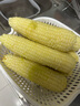 竹盐 深海珍萃护龈派缤牙膏285g 滋养呵护牙龈 清新口气 实拍图