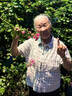珂莱藻堂婴儿湿纸巾新生宝宝手口屁翻盖湿巾化妆棉 常规款 80抽 实拍图