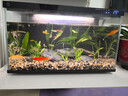 疯狂水草鱼缸造景装饰溪流石底部砂石天然溪流缸南美缸造景石乌龟躲避晒台 溪流缸造景套餐（40-50cm缸） 实拍图