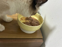 格吾安 猫主食罐格系列全价鲜肉营养增肥慕斯鸡肉85g*3+牛肉85g*3(1盒) 实拍图