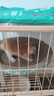 疯狂的主人 猫抓板窝特大号猫玩具猫爪板猫抓盆不掉屑猫窝碗形圆形瓦楞纸 实拍图