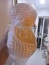 正宗雪梨河北雪花梨梨子批发10斤冰糖雪梨新鲜水果当季水果3斤5斤 特级雪梨净重5斤 实拍图