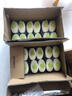 滴露（Dettol）洗手液茉莉绿茶清香500g*2 迪士尼儿童洗手液补充装家庭抑菌消毒  实拍图